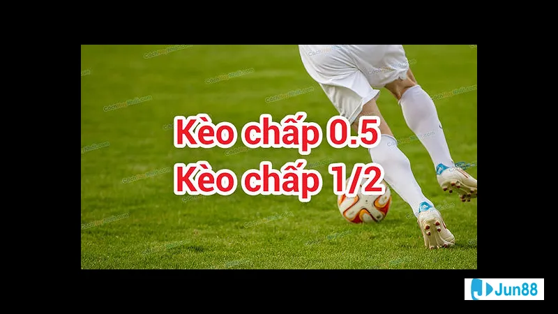 Kèo nửa trái kinh nghiệm đặt cược