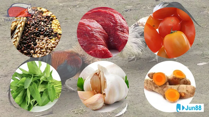 Độ ẩm và nhiệt độ